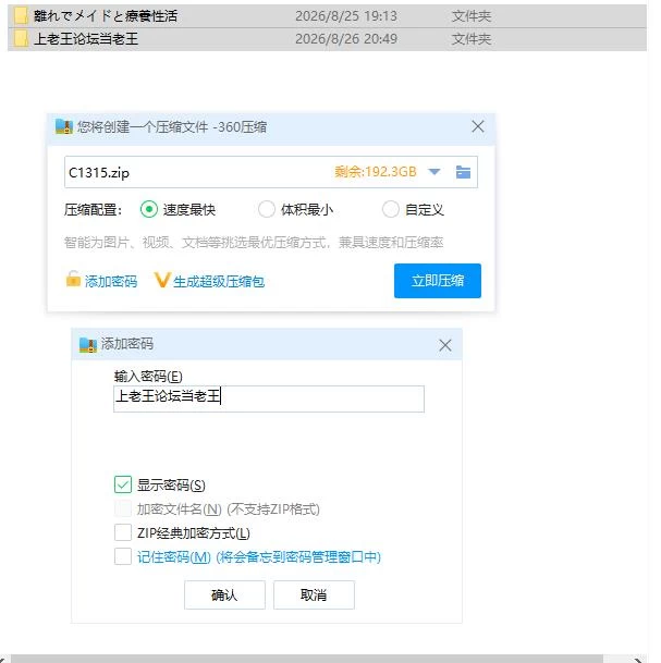 pc在别馆与女仆的疗养生活 離れでメイドと療養性活 AI汉… [1+76m][百度盘]