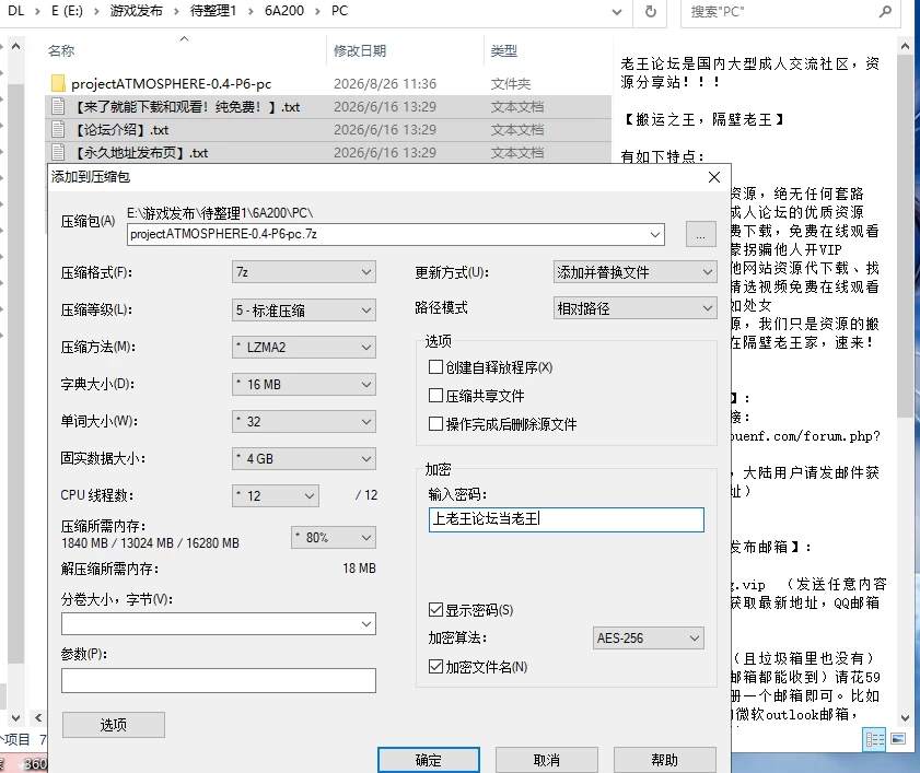 【欧美SLG/汉化/PC+安卓】大气项目 Project Atmosphere v0.4P6 [2+14.2G][多种下载方式]