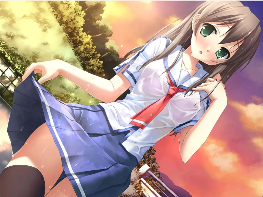 [ADV/PC/汉化]夏之雨夏ノ雨 [1+2.00GB][百度盘]