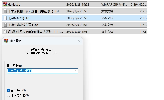 PC[亚洲风SLG/互动养成] 大侠狂想曲 V260822 官中步兵版+存档 [1+5.7G][百度盘]