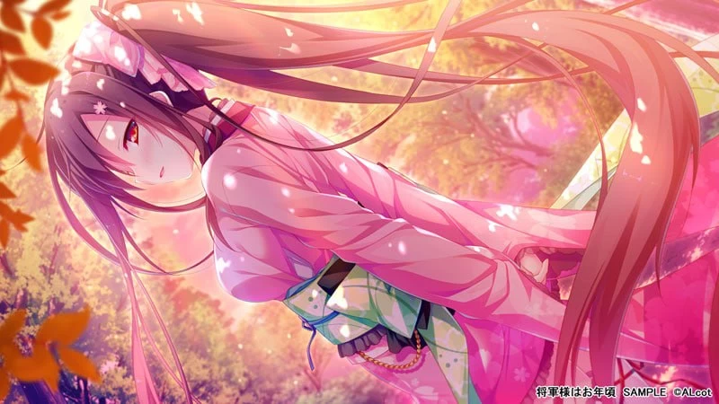 [ADV中文PC]将军大人芳华正茂 Shogun-sama wa Otoshigoro  将軍様は… [1+4G][百度盘]