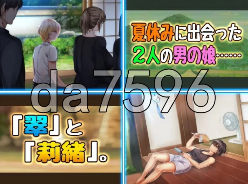pc两个男娘的暑假青春日记 男の娘2人夏休みアオハル日記 … [1+671m][百度盘]
