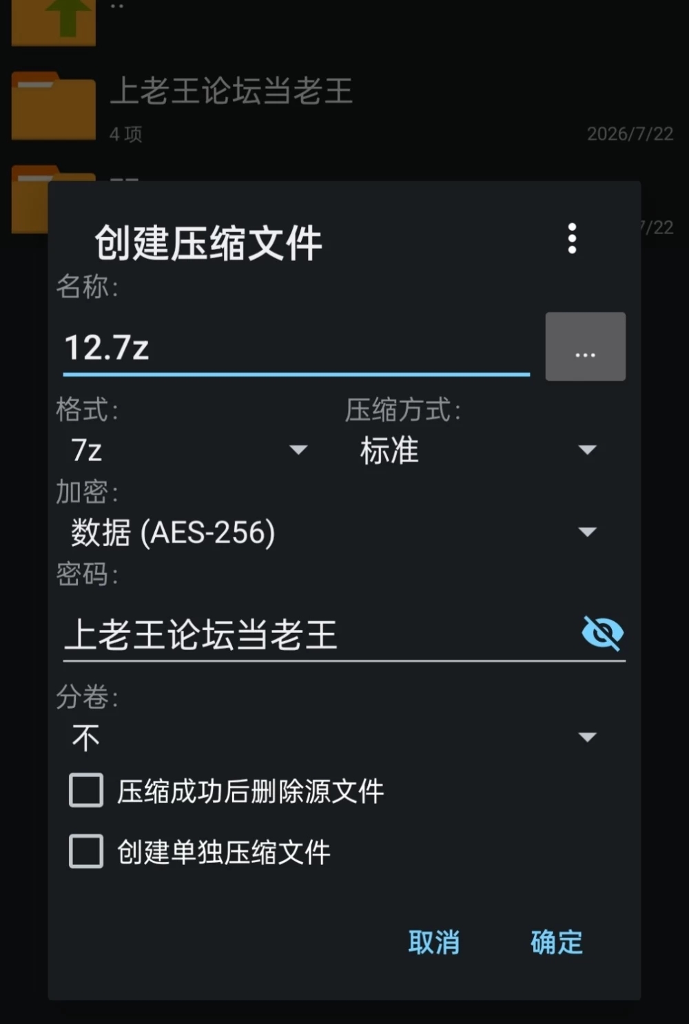 【pc+安卓】边缘 – 终极版 v0.9.0 官中步兵+全画廊 [1+3.6g][百度盘]