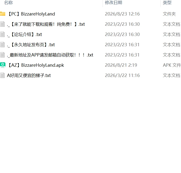 【精品SLGPCAI汉化v60.0b】奇异的圣地圣屌降临 比扎雷圣地 [1+6.6G][百度盘]