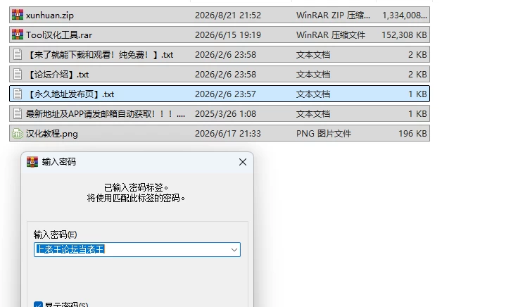 PC新作[日式RPG/露出/巨乳] 夜循环-露出肉鸽- AI汉化版 [1+1.3G][百度盘]