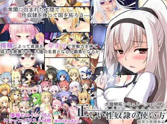 PC/汉化 性奴隶的正确使用方法 正しい性奴隷の使い方 V2.2.0 [1+1.39G][百度盘]