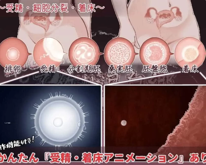 PC/怀孕/官中 おいでませ！子作り温泉郷 v1.1.0 [1+1.06G][百度盘]