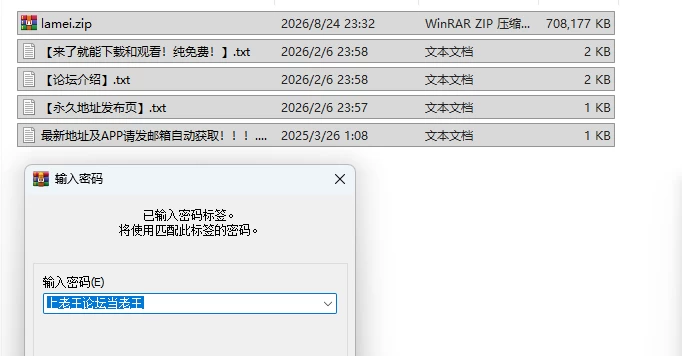 PC[日式SLG/堕落巨乳/女仆] 辣妹女仆盯上了少爷  AI汉化版+自带全回想 [1+690M][百度盘]