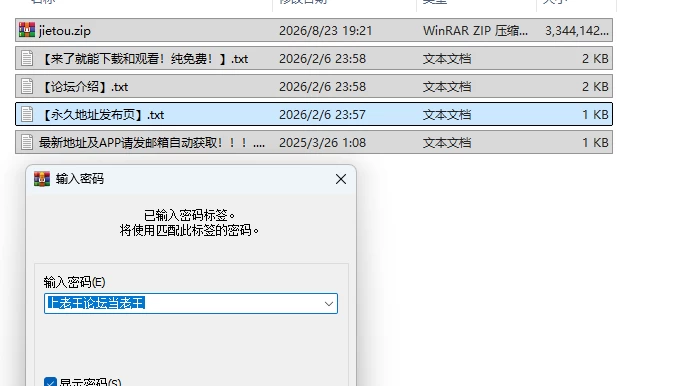 PC更新[互动SLG/真人/动态] 街头英雄 Street Hero Remake v2.0.0  重制版 [1+3.2G][百度盘]