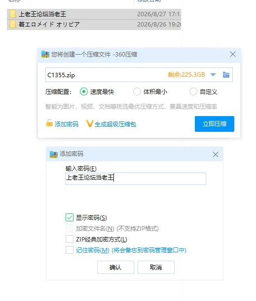 色情女仆服的奥利维亚 着エロメイド オリビア PC+安卓 内… [1+2g][百度盘]