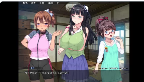 新作[日式ADV/调教后宫pc] 乱情小妹 官中步兵 [1+1.06G][百度盘]