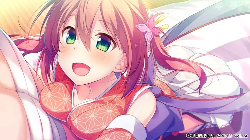 [ADV中文PC]将军大人芳华正茂 Shogun-sama wa Otoshigoro  将軍様は… [1+4G][百度盘]