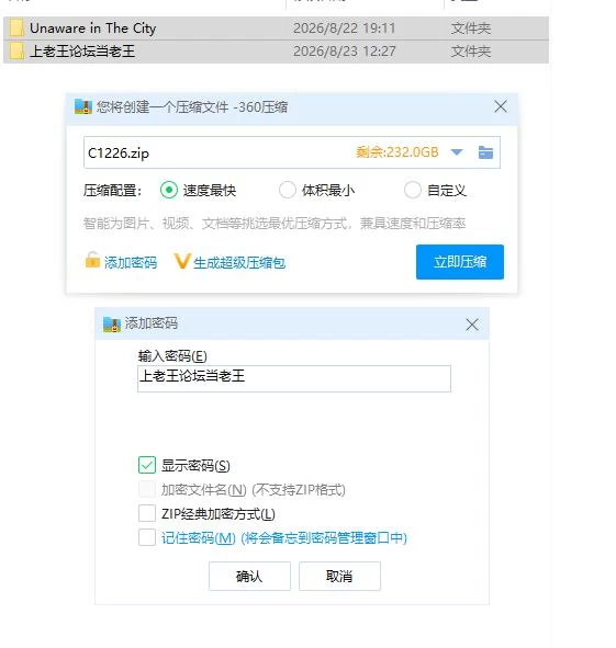 pc城市中的无意识者 Unaware in the City v48b Steam官中步兵版 [1+850m][百度盘]