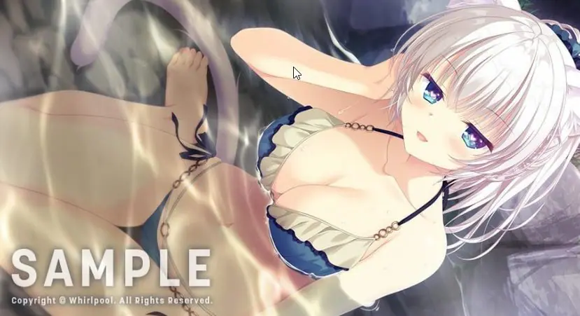 【PC/AI汉化/日系/2D/ADV/CV/3.61G】猫忍之心SPIN 2 (貓忍えくすはーとSPIN！2 / NEKO-NIN exHeart SPIN! 2) AI汉化版+日系2D+ADV+CV+3.61G
