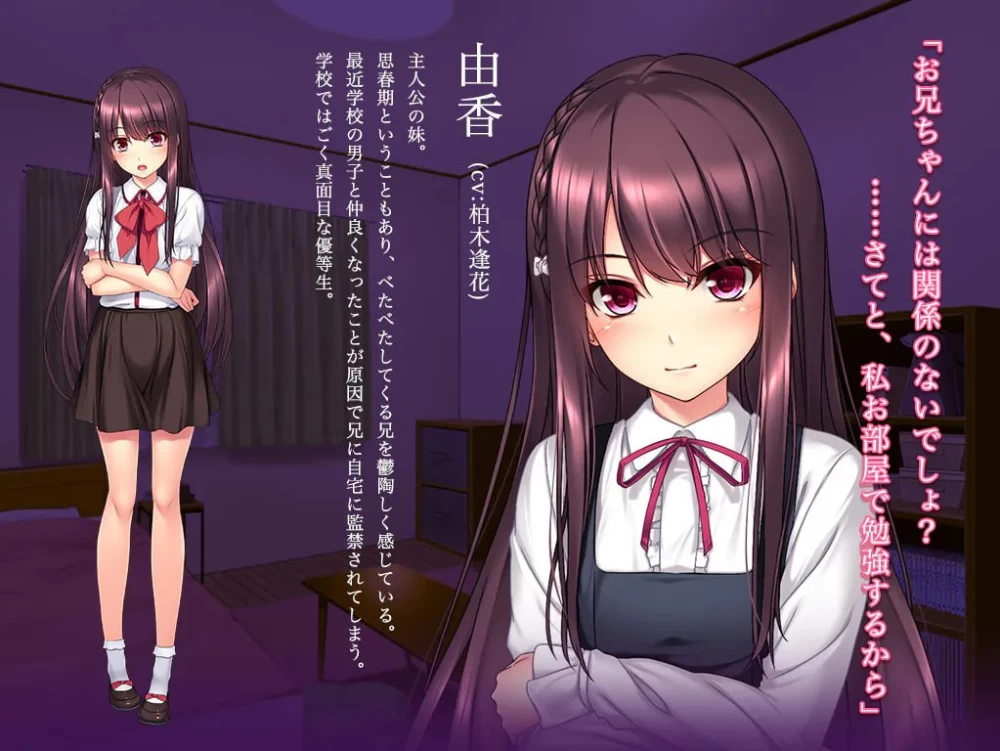 [ADV/PC/汉化/动态]妹妹的快感沦陷被哥哥强行占有之后 [1+1.87GB][百度盘]