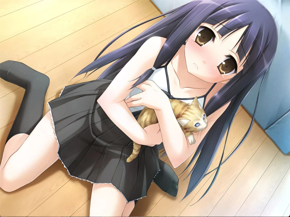 [ADV/PC/汉化]夏之雨夏ノ雨 [1+2.00GB][百度盘]
