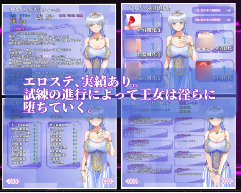 お姫さまにもできるNTR計画 [PC [1+2.26g][百度盘]