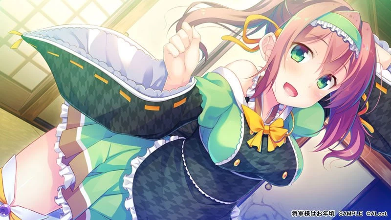 [ADV中文PC]将军大人芳华正茂 Shogun-sama wa Otoshigoro  将軍様は… [1+4G][百度盘]