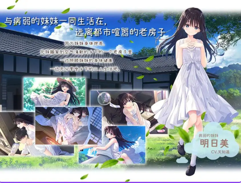 【PC/官中/2D/日系/RPG游戏/3.45G】痴情哥哥与病弱妹妹的乡间生活 Ver1.0 官方中文步兵版+Ap1+Ap2+日系RPG游戏+3.45G