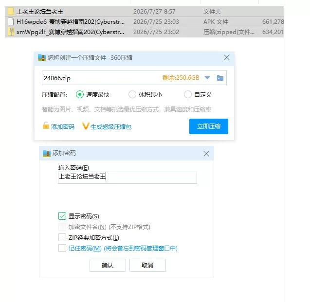 赛博穿越指南202(Cyberstray202).v0.2.0 官中版【PC+安卓 [1+1.22g][百度盘]