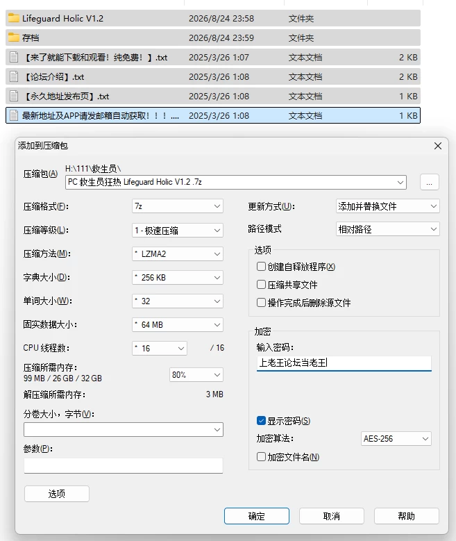 PC/NTR/巨乳/官中/存档 救生员狂热 Lifeguard Holic V1.2 [1+6.12G][百度盘]