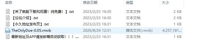 [日系SLG/AI汉化/沙盒/PC]唯一指令v0.05 AI汉化版[1+4G] [1+4G][百度盘]