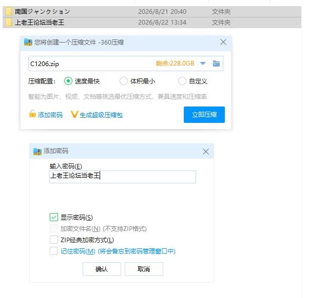 pc南国交汇点 南国ジャンクション v2.2.0 AI汉化版 [1+1.13g][百度盘]