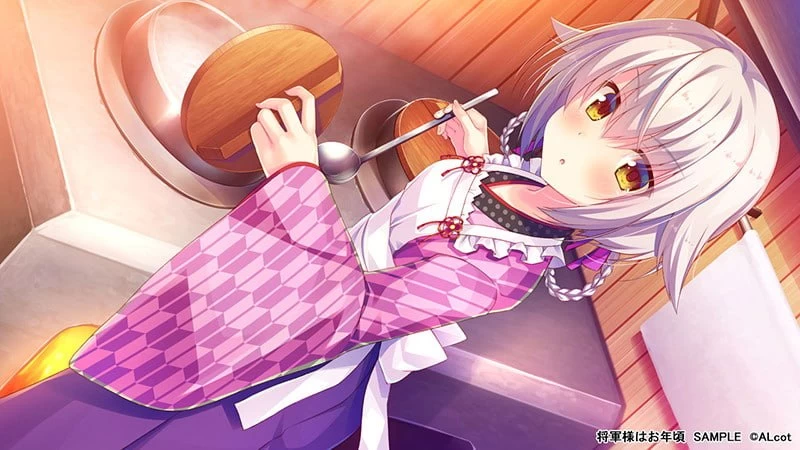 [ADV中文PC]将军大人芳华正茂 Shogun-sama wa Otoshigoro  将軍様は… [1+4G][百度盘]