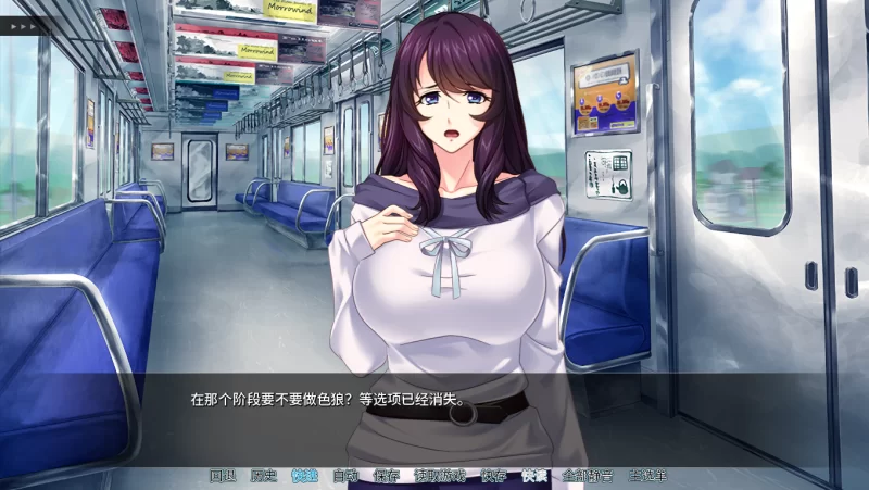 【PC】人妻痴汉电车~人妻公然恥辱電車 ～v1.3.2+全CG存档+官中 [1P+600M][百度盘]