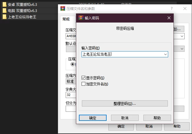 PC+安卓–双重感知 Double Perception v6.3 AI汉化版 [1+8.67G][百度盘]