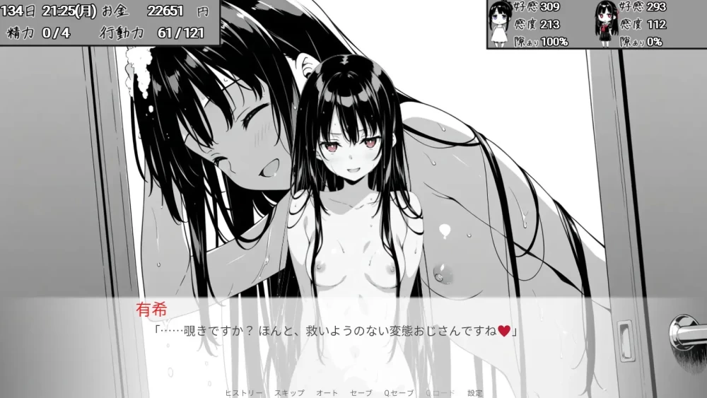 PC[SLG/睡X/动态]漏洞百出 与姨妈和堂妹的同居生活 1.70官中 [2+4.8g][百度盘]