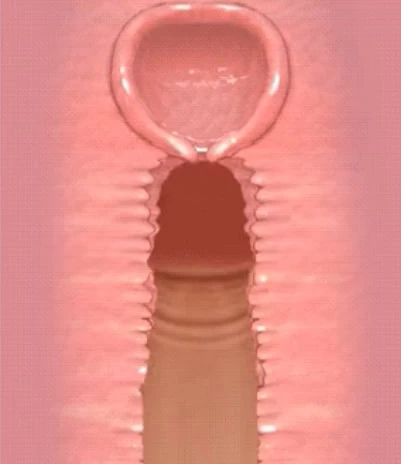 [3D官中PC动态步兵]严厉前辈突然撒娇！？My Strict Senior Sudden… [1+200M][百度盘]