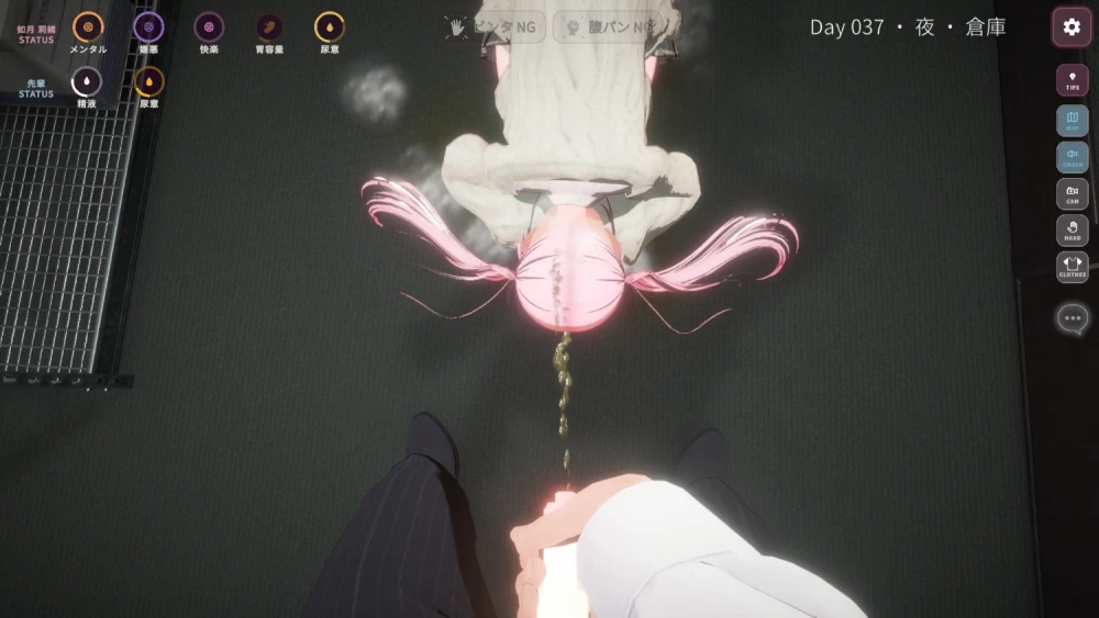 [PC 新作3D/调教/凌辱/动态]惩罚课程 お仕置きLesson 官中步兵 [1+970mb][百度盘]