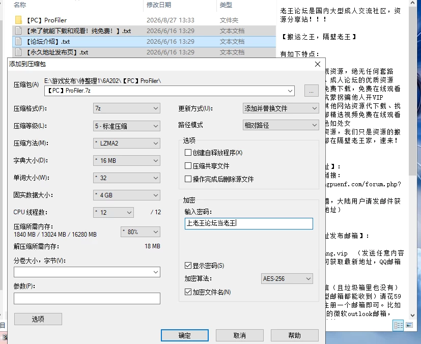 [SLG/PC+安卓/官中]侧写者 ProFiler v0.4.3.1 [2+5.7G][多种下载方式]