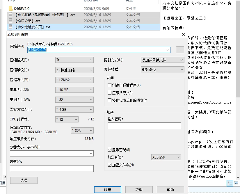 [PC//真人] 街头英雄重制 Street Hero Remake v2.0.0 fix 浏览器翻译 [2+3.1G][多种下载方式]