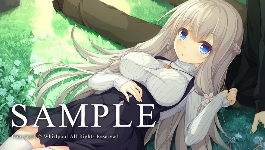 【PC游戏/汉化】候鸟的梦 [5+3.3G][百度盘]