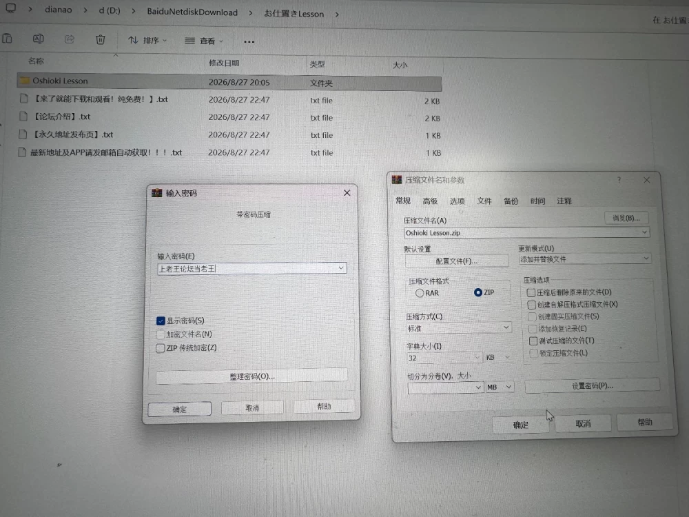 【pc/新游/巨乳/调教/3D/动态/官中】惩罚课程（お仕置きLesson） [1+1.02g][百度盘]