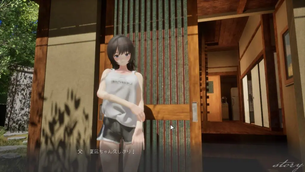【PC/生肉/互动/3D游戏/2.40G】 夏姐姐 ～我恋爱的30天～ （なつねえ ～僕が恋した30日～ ）正式版+互动3D游戏+2.40G