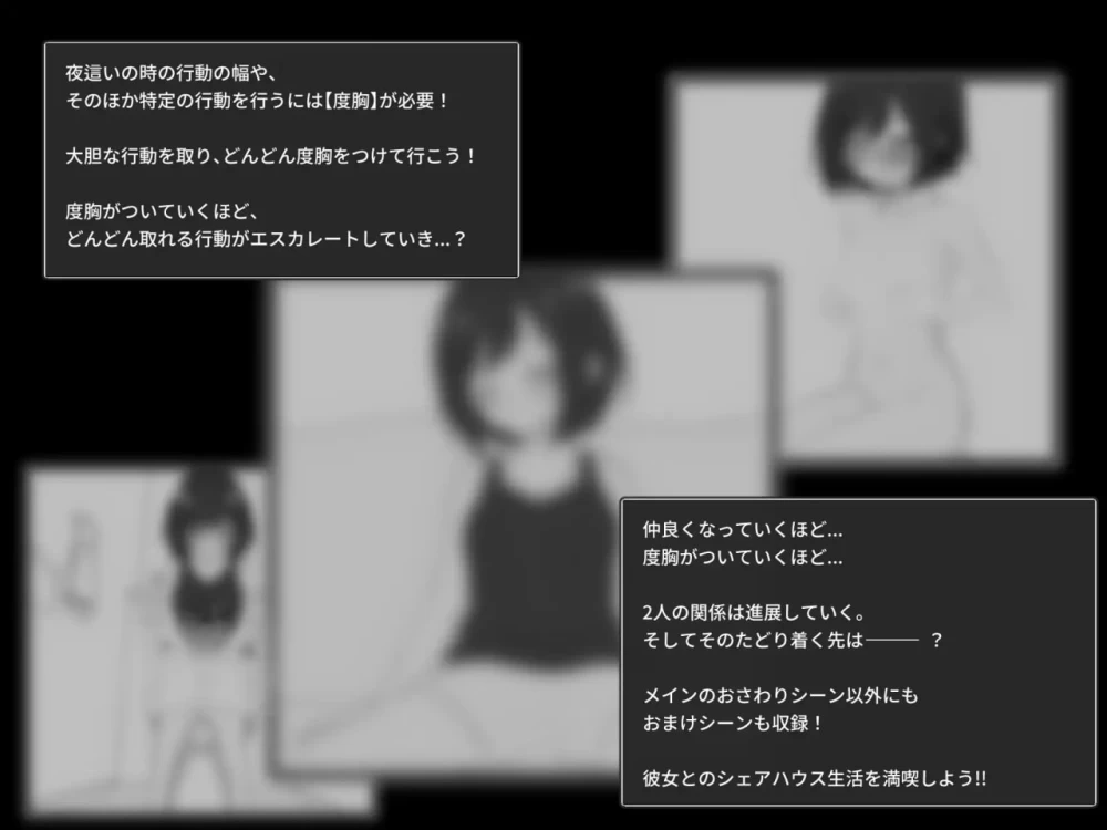 [SLG汉化PC]秘密合租生活 秘密共享生活  秘密のシェアハウ… [1+500M][百度盘]