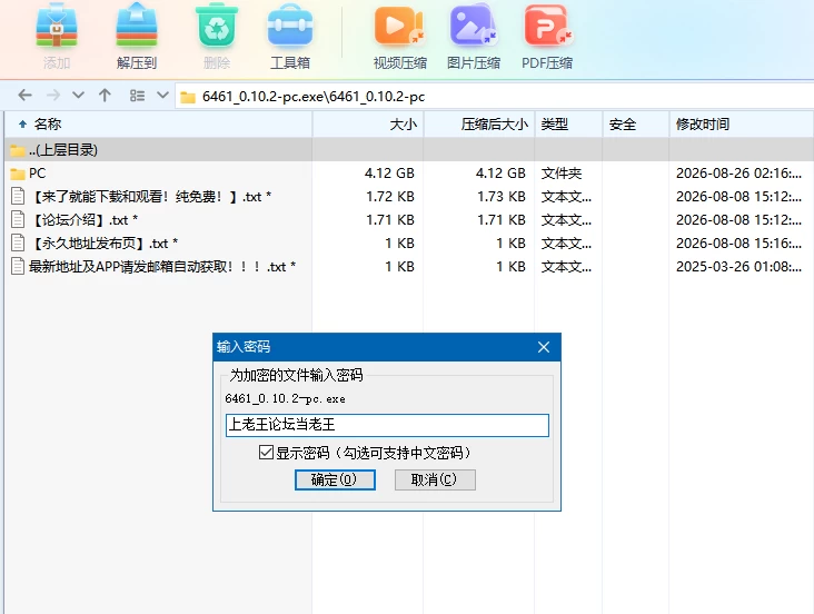 谍影沉沦-暗夜盟会0.10.2官中步兵【PC+安卓+画廊】FallingUnder… [4+5.68G][多种下载方式]