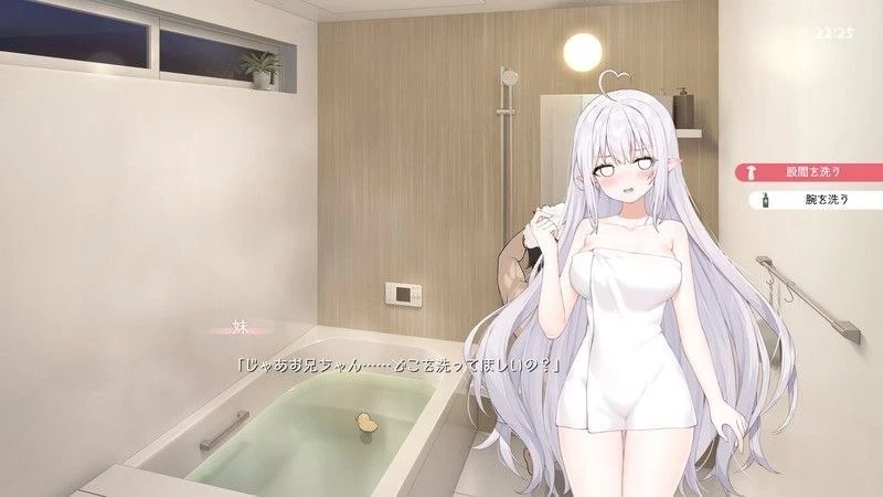 【SLG/安卓】与缺乏存在感的妹妹的简单生活  v1.2 [1v+1260.4M][百度盘]