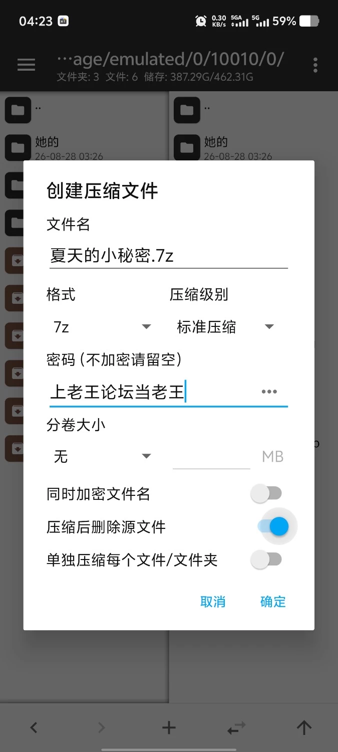 【安卓/ADV类型/汉化】夏天的小秘密 [1+1.65G][百度盘]