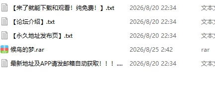 【PC游戏/汉化】候鸟的梦 [5+3.3G][百度盘]