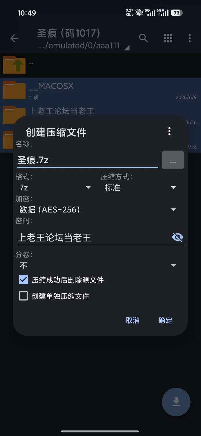 【端游】堕落圣痕（堕ちた聖痕：夜行伝令）1.12最新版官中已打无码补丁 [1+2G][百度盘]
