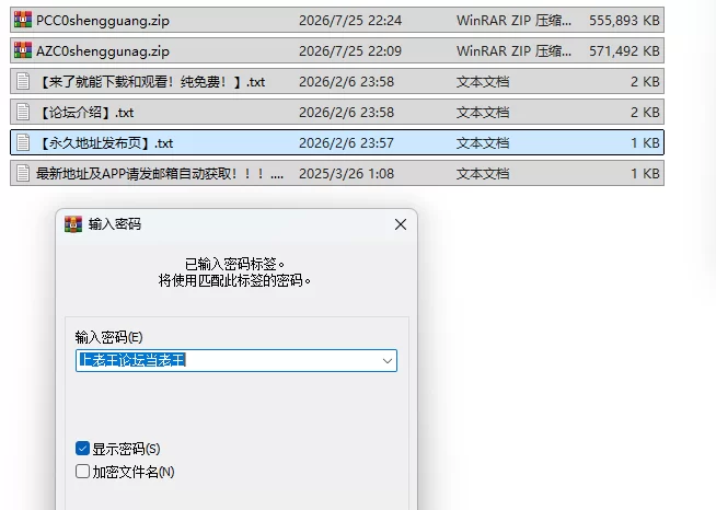 PC＋安卓新作[日式RPG/战斗H] 圣光之少女艾莉丝的受难内嵌AI汉化步兵版+作弊码 [1+1.3G][百度盘]