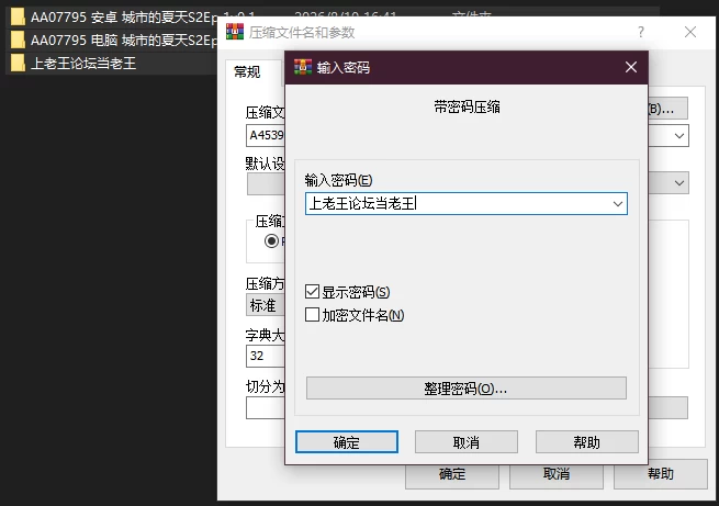 PC+安卓–城市的夏天 Summer in the City S2 Ep.1 v0.1 AI版 [1+4.59G][百度盘]