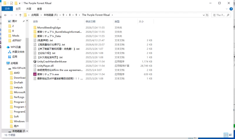 【新作/PC/ACT/官中】 紫森仪式V1.0 [1+150M][百度盘]