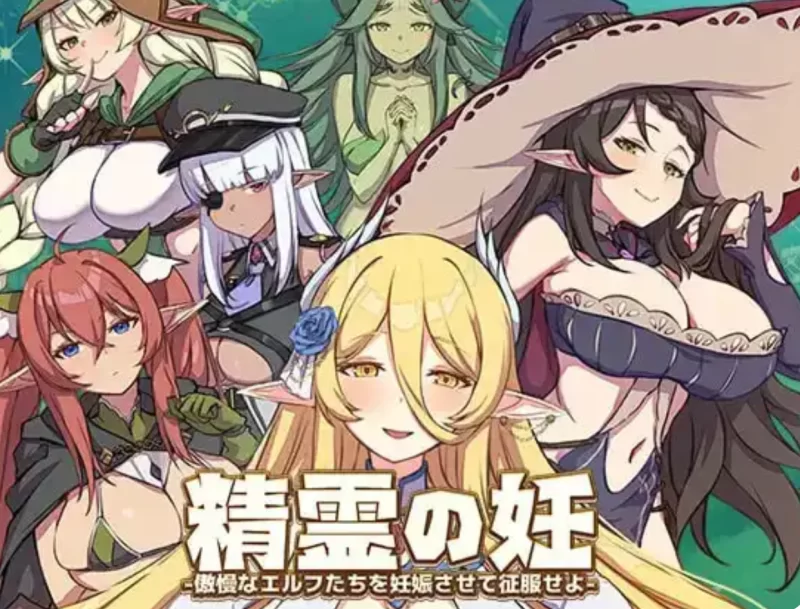[PC/SLG]精灵之妊 -用怀孕征服所有傲慢的精灵v1.0.0.12 官方中文 [1+2.4G][百度盘]