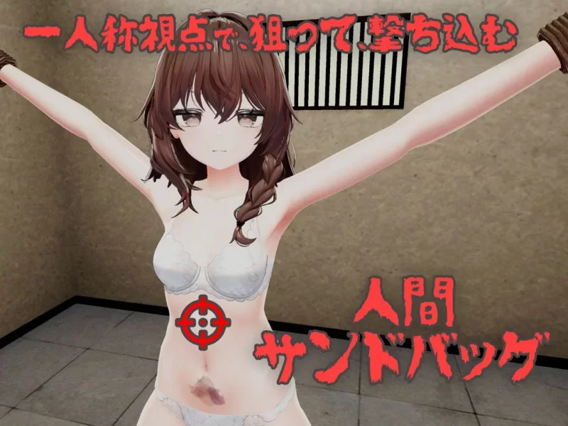 [新作PC3D官中动态] 不断殴打少女直到她崩溃的游戏 少女を壊れるv1.0.0 [300m] [1+300M][百度盘]
