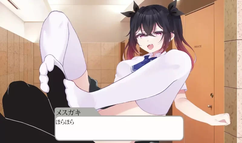 [PC 新作SLG/NTL/调教]催堕的雌性们 催堕のメスたち v1.0 官中带全CG [1+413mb][百度盘]